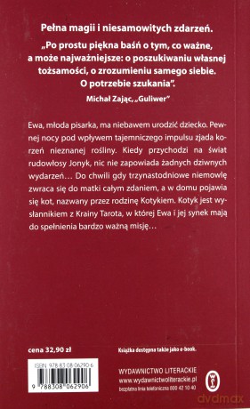 W krainie kota - Dorota Terakowska [KSIĄŻKA]