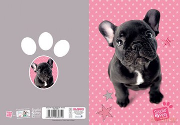 Zeszyt A5 16k linia studio pets