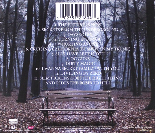 The Offspring: Days Go By [CD]
