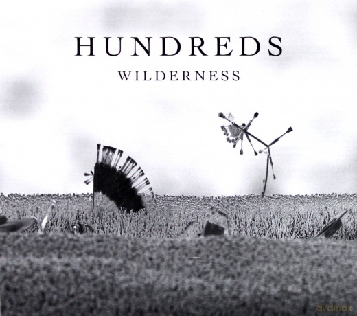 Hundreds: Wilderness [CD]