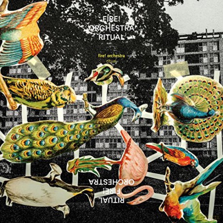 Fire! Orchestra: Ritual [CD]