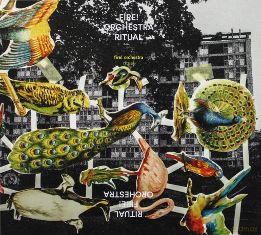 Fire! Orchestra: Ritual [CD]