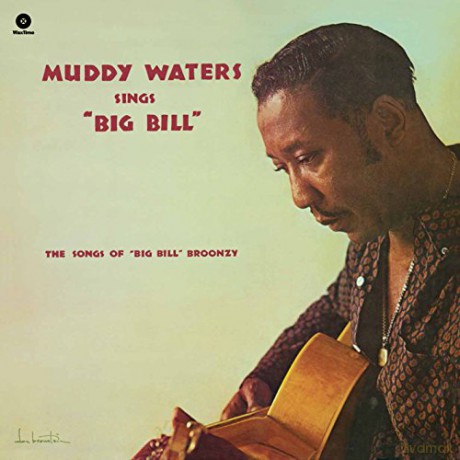 Muddy Waters: Sings Big Bill Broonzy [Winyl]
