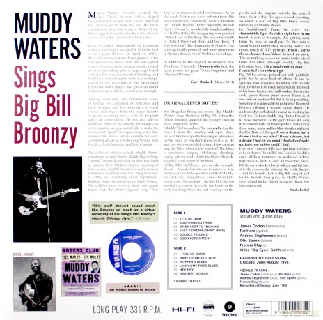 Muddy Waters: Sings Big Bill Broonzy [Winyl]
