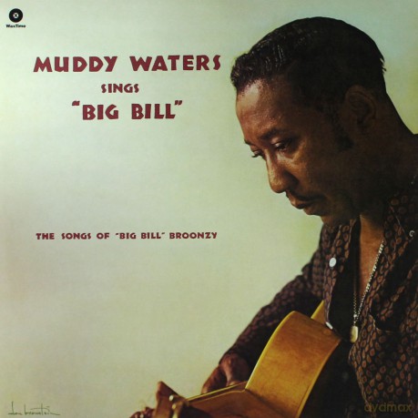 Muddy Waters: Sings Big Bill Broonzy [Winyl]