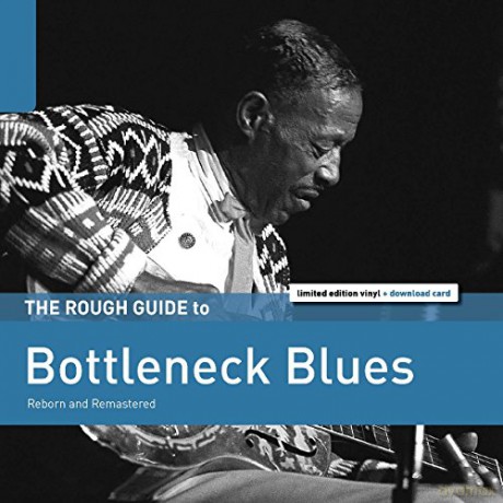 The Rough Guide To Bottleneck Blues [Winyl]