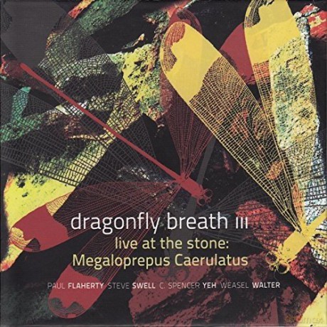 Dragonfly Breath III: Live at The Stone: Megaloprepus Caerulatus [CD]