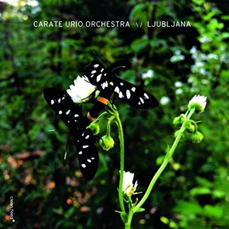 Carate Urio Orchestra: Ljubljana [CD]