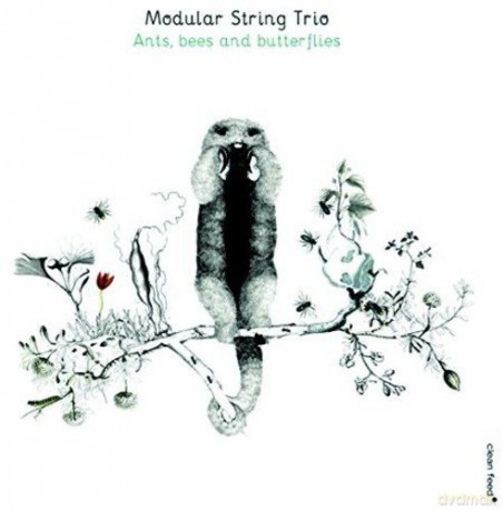 Modular String Trio: Ants, Bees and Butterflies [CD]