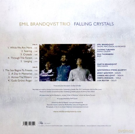 Emil Brandqvist Trio: Falling Crystals [Winyl]