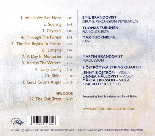 Emil Brandqvist Trio: Falling Crystals [CD]
