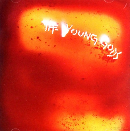 The Young Gods: Red Water [CD]