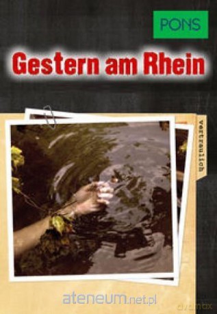 Gestern am Rhein [AUDIOBOOK]