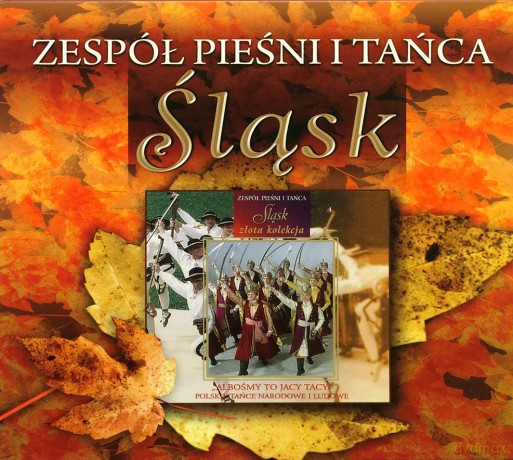 Zespół Pieśni I Tańca Śląsk: Albośmy to jacy tacy [CD]