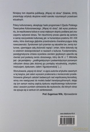 Więcej niż obraz. Przestrzenie wizualne [KSIĄŻKA]