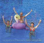 Current 93: Black Ships Heat The Dancefloor [CD]+[DVD]