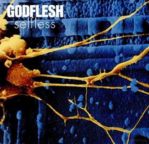 Godflesh: Selfless [CD]