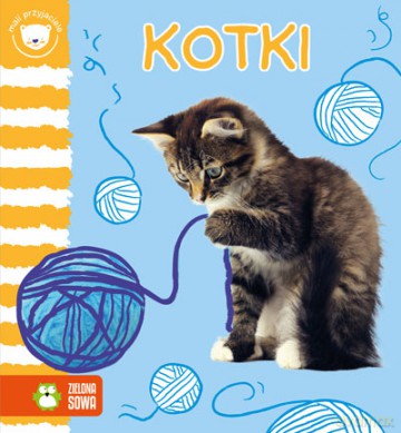 Kotki mali przyjaciele [KSIĄŻKA]