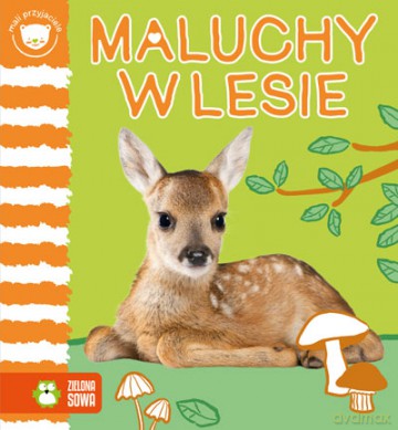 Maluchy w lesie. Mali przyjaciele [KSIĄŻKA]