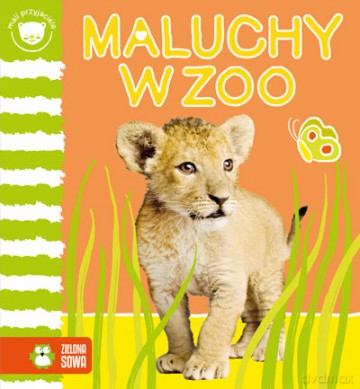 Maluchy w ZOO. Mali przyjaciele [KSIĄŻKA]
