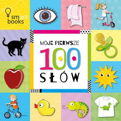 Moje pierwsze 100 słów [KSIĄŻKA]