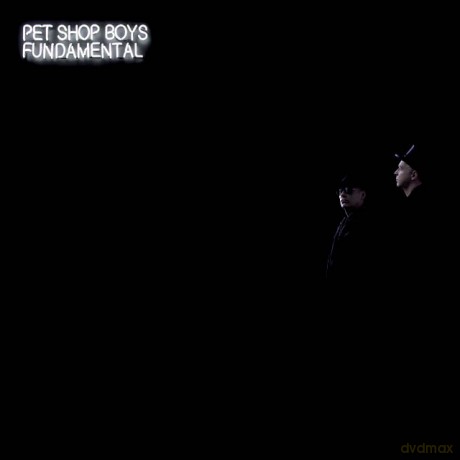 Pet Shop Boys: Fundamental [Winyl]