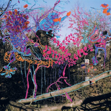 Animal Collective: Here Comes The Indian [Winyl]