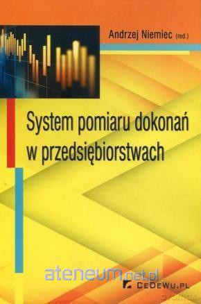 System pomiaru dokonań w przedsiębiorstwach - Andrzej Niemiec [KSIĄŻKA]