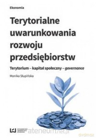 Terytorialne uwarunkowania rozwoju przedsiębiorstw - Monika Słupińska [KSIĄŻKA]