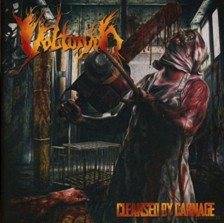 Volturyon: Cleansed By Carnage [CD]