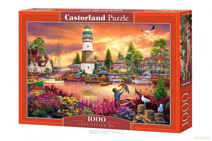 CASTOR 1000 el. Love Lifted Me [PUZZLE]