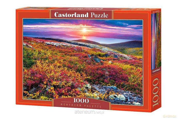 CASTOR 1000 el. Nothern Palette [PUZZLE]