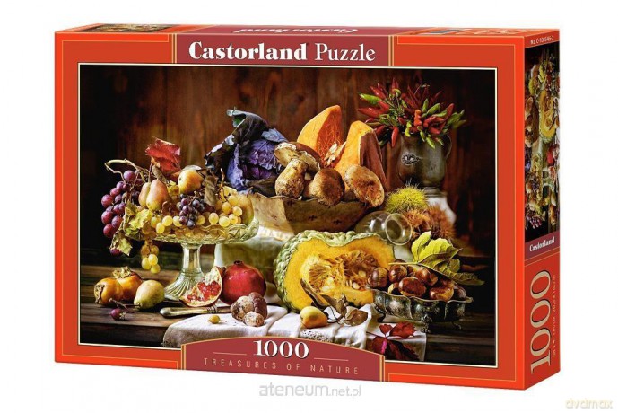 CASTOR 1000 el. Skarby Natury [PUZZLE]