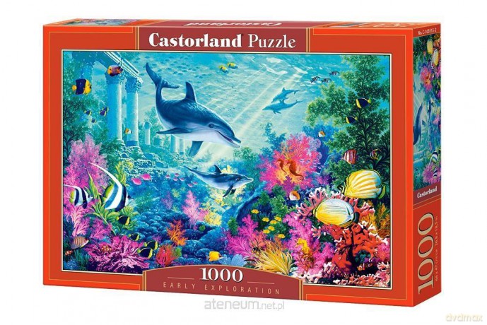 CASTOR 1000 el. Wczesne poszukiwania [PUZZLE]