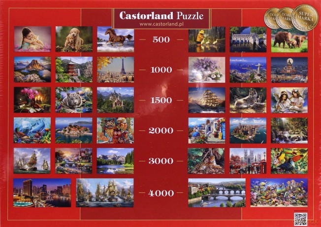 CASTOR 1500 el. Bukiet kwiatów [PUZZLE]