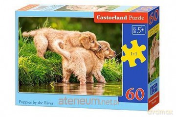 CASTOR 60 el. Puppies by the River [PUZZLE]