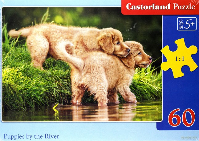 CASTOR 60 el. Puppies by the River [PUZZLE]