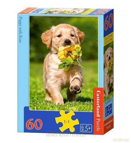 CASTOR 60 el. Szczeniak z różą [PUZZLE]
