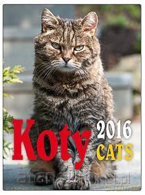 Kalendarz 2016 KSM-4 Koty [KALENDARZ]