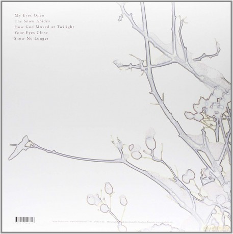 Michael Cashmore: The Snow Abides [Winyl]
