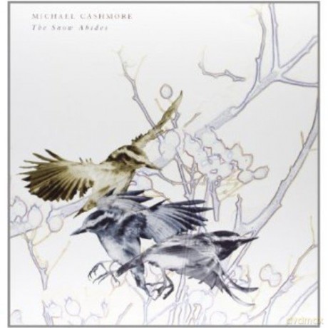 Michael Cashmore: The Snow Abides [Winyl]
