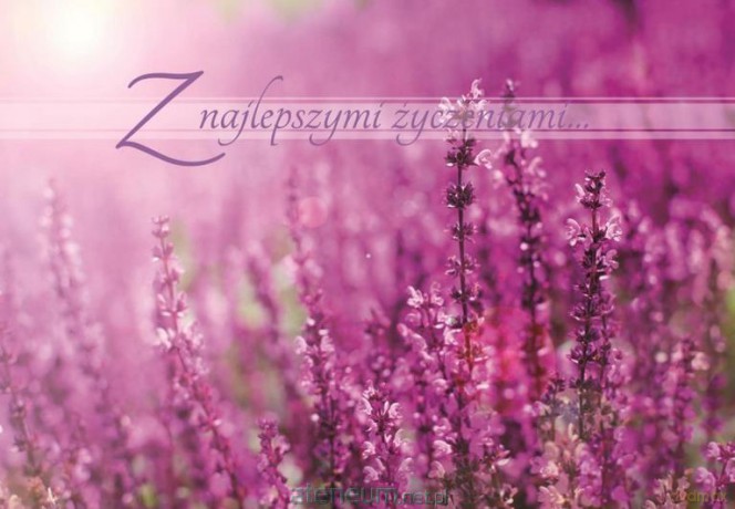 Kartka składana - Z najlepszymi życzeniami 2