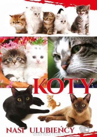 Koty. Nasi Ulubieńcy [KSIĄŻKA]