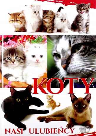 Koty. Nasi Ulubieńcy [KSIĄŻKA]
