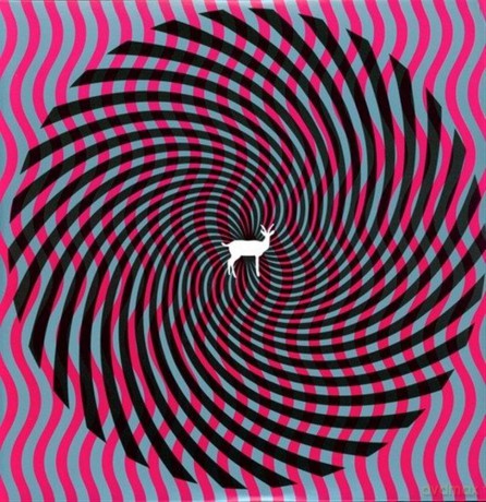 Deerhunter: Cryptograms [2xWinyl]