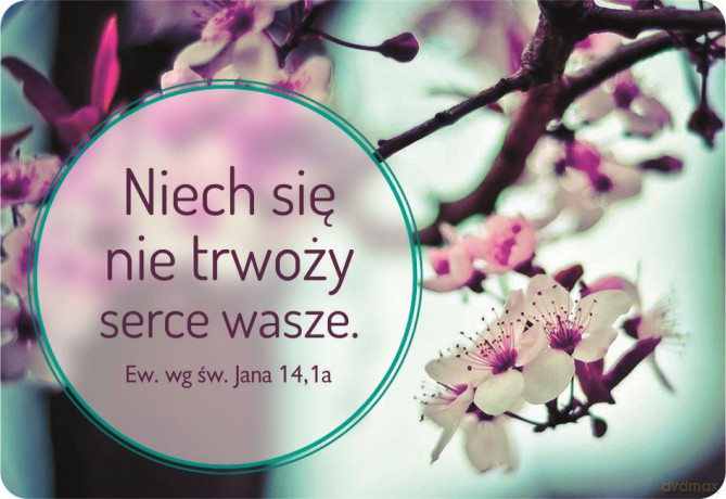 Magnes na lodówkę - Niech się nie niepokoi