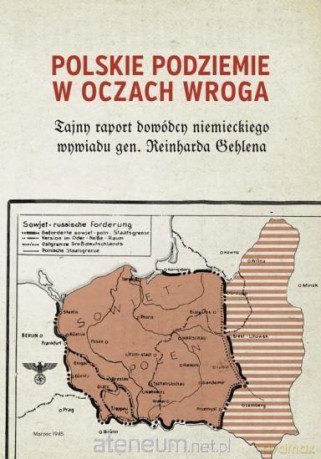 Polskie Podziemie w oczach wroga - Jan Rydel [KSIĄŻKA]