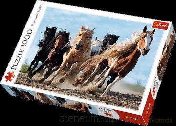TREFL 1000 el. Galopujące konie (10446) [PUZZLE]