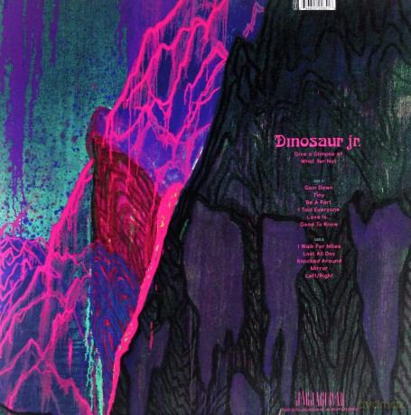 Dinosaur Jr: Give A Glimpse Of What Yer Not [Winyl]