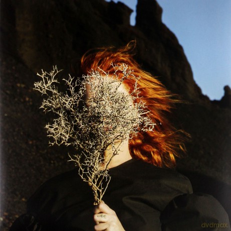 Goldfrapp: Silver Eye (Limited) [Winyl]